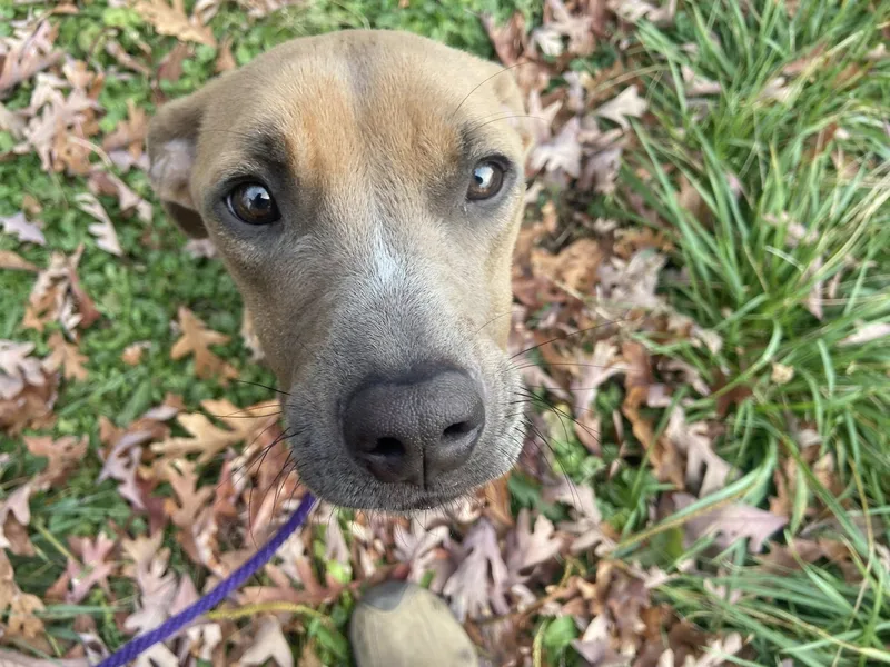 Bon Bon Betty! thumbnail 5