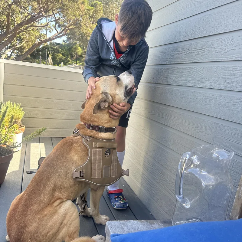 Pedro Pascal thumbnail 3