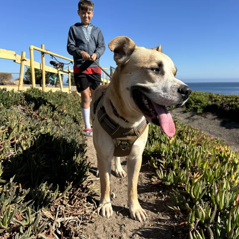 Pedro Pascal thumbnail 5