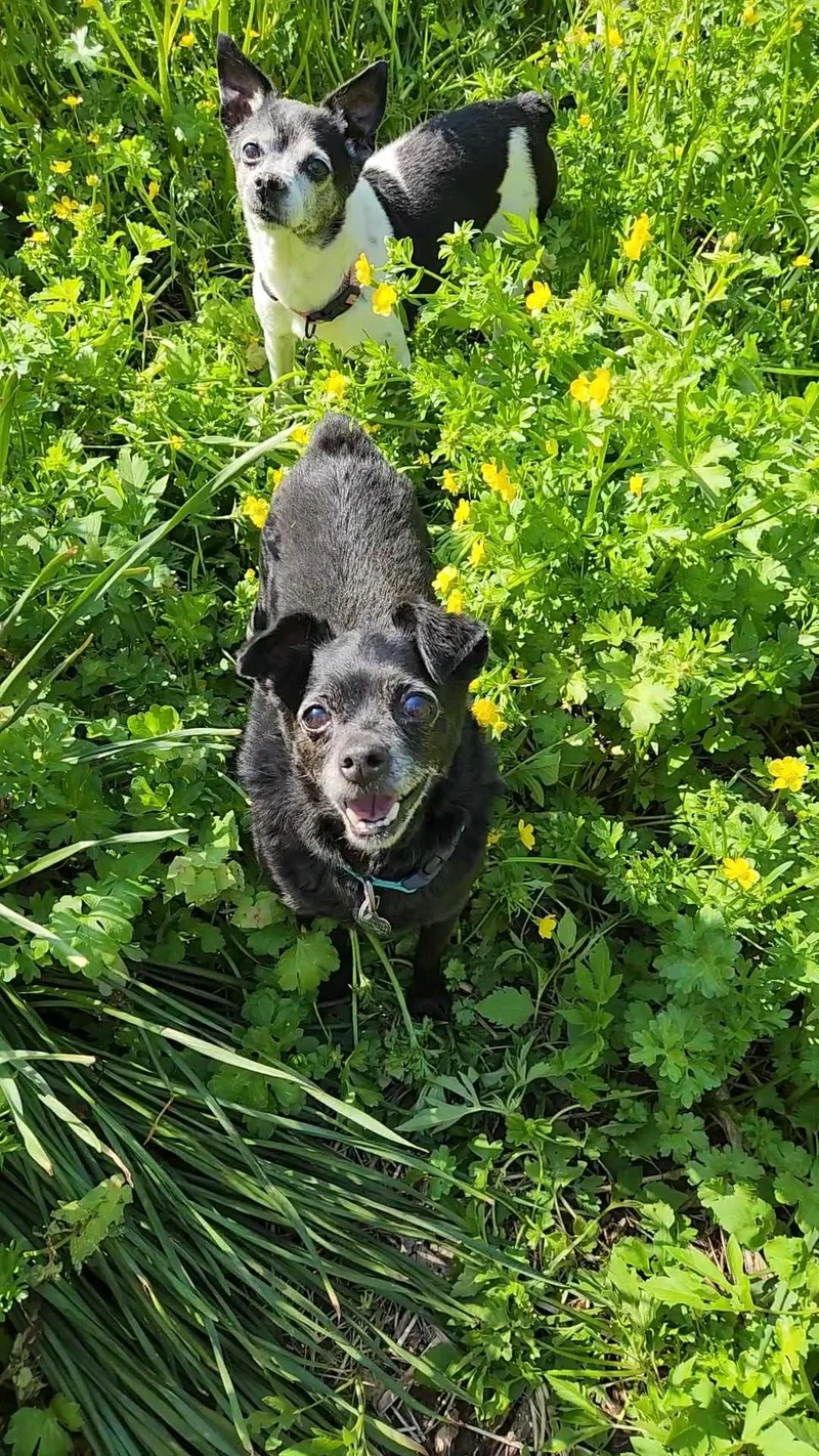 Lucy & Manny thumbnail 3