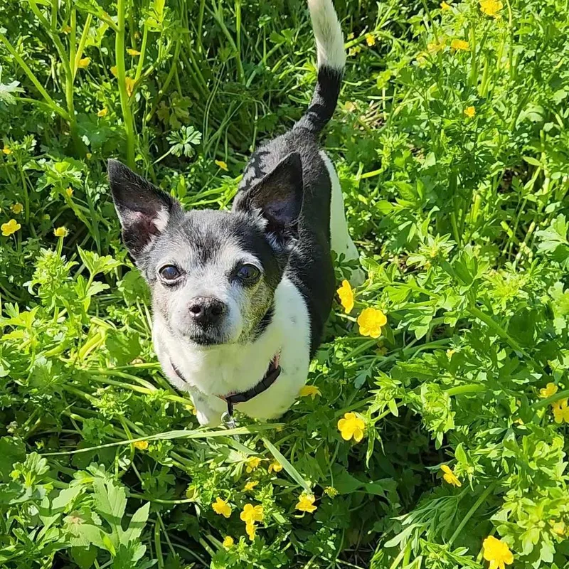 Lucy & Manny thumbnail 4