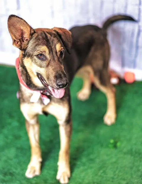 Princess Lea thumbnail 2