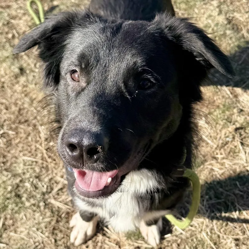 Princeton thumbnail 2