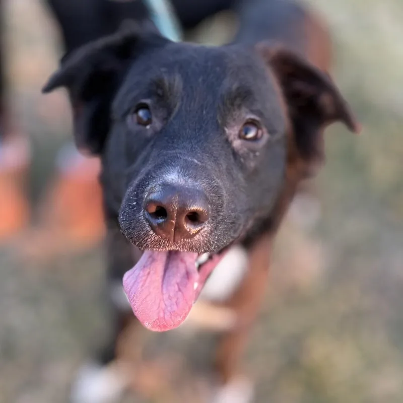 Princeton thumbnail 4