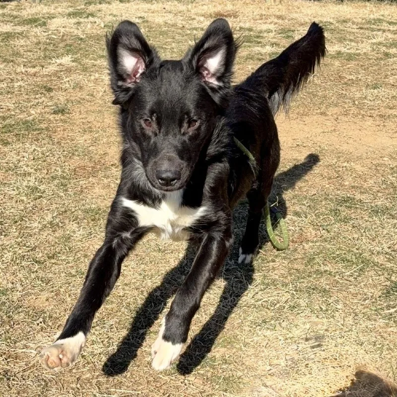 Princeton thumbnail 5