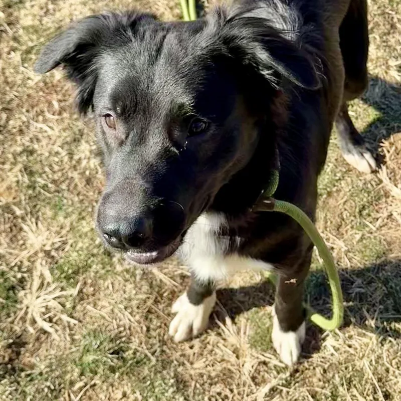 Princeton thumbnail 6