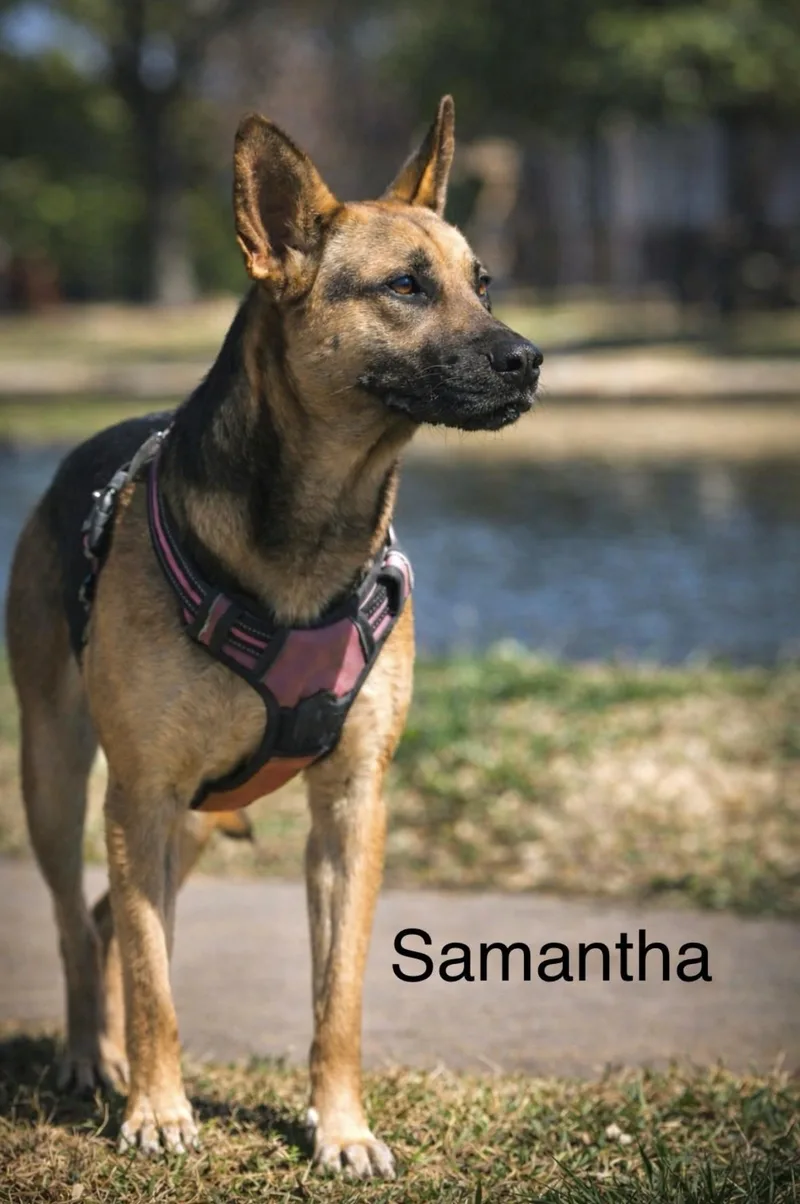 Samantha