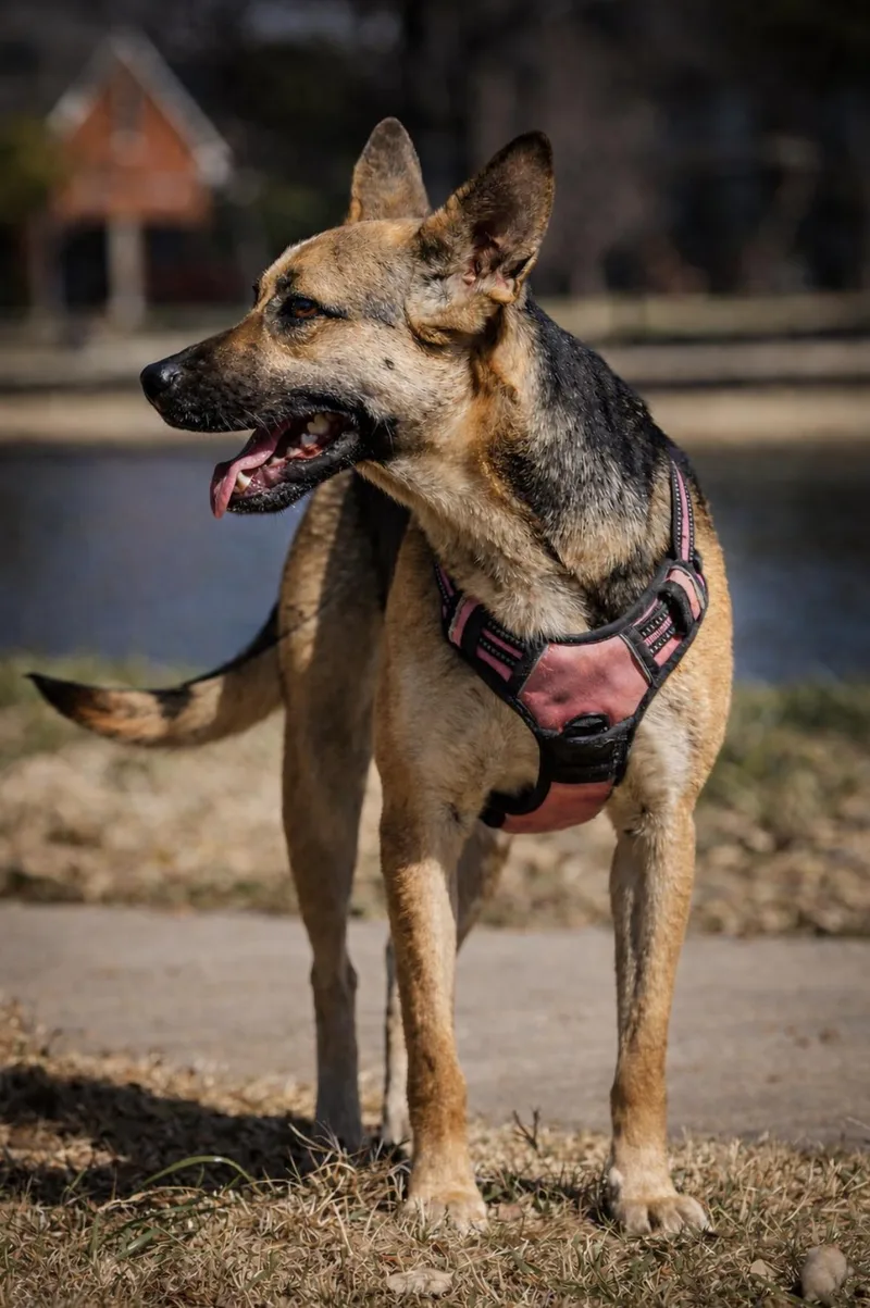 Samantha thumbnail 6