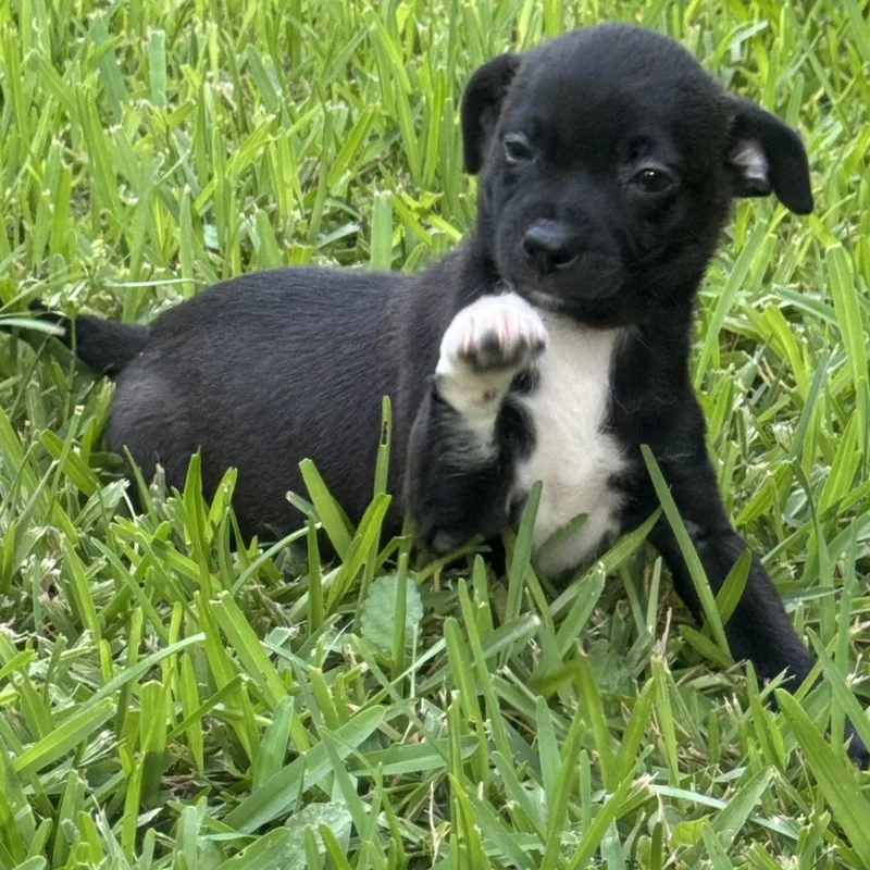 Kevin Up thumbnail 2