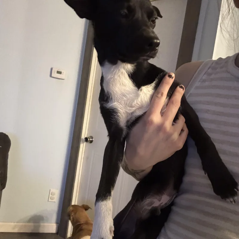 Kevin Up thumbnail 3