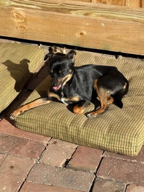 Precious thumbnail 3