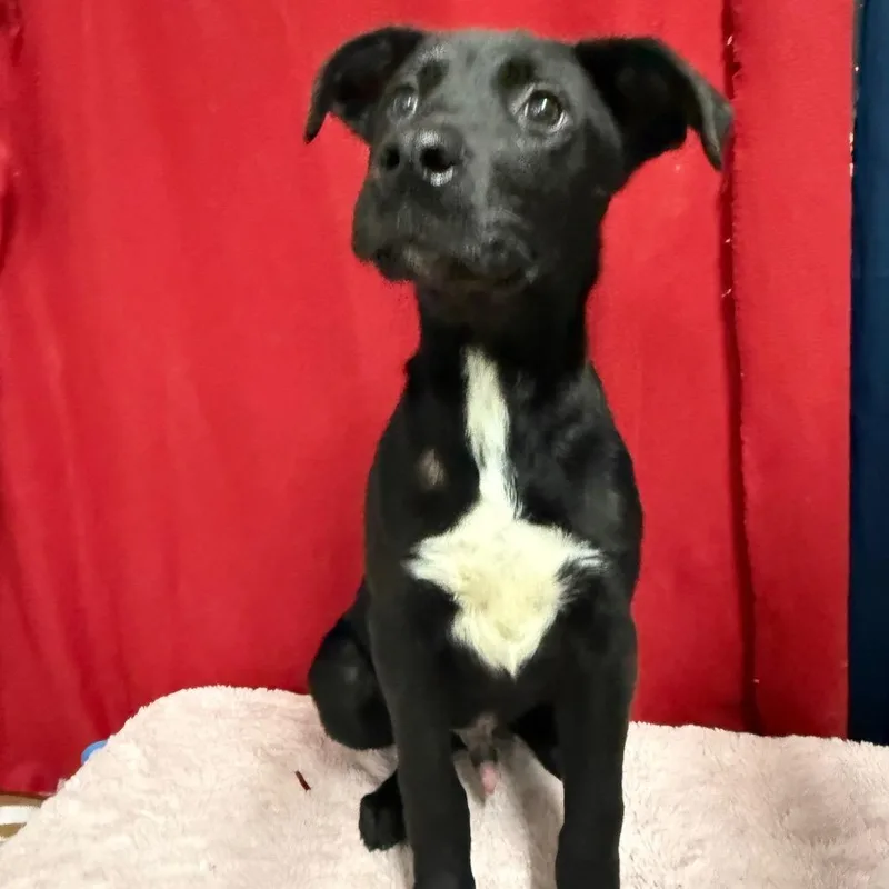 Subwoofer thumbnail 2