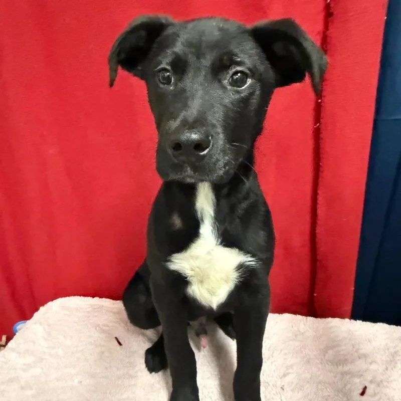 Subwoofer thumbnail 3