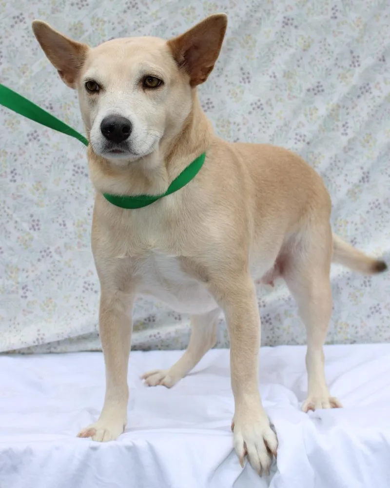 Tinkerbell thumbnail 2