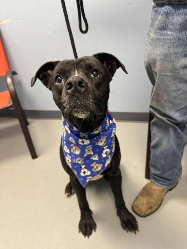 Elton John thumbnail 2