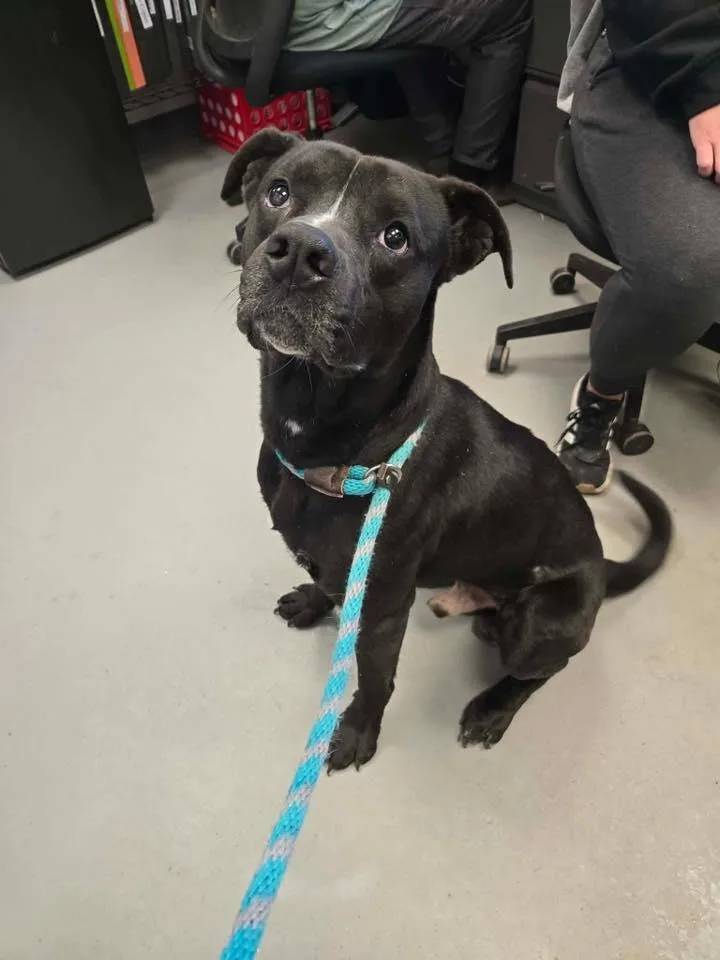 Elton John thumbnail 3