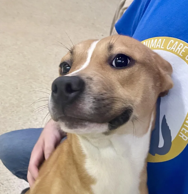 Gretchen thumbnail 2