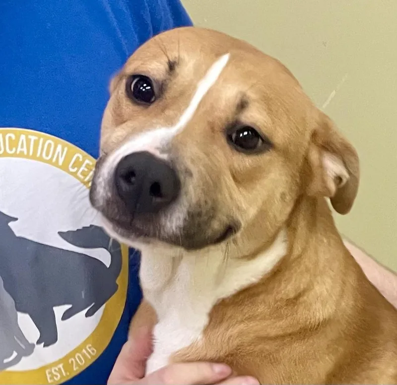 Gretchen thumbnail 3