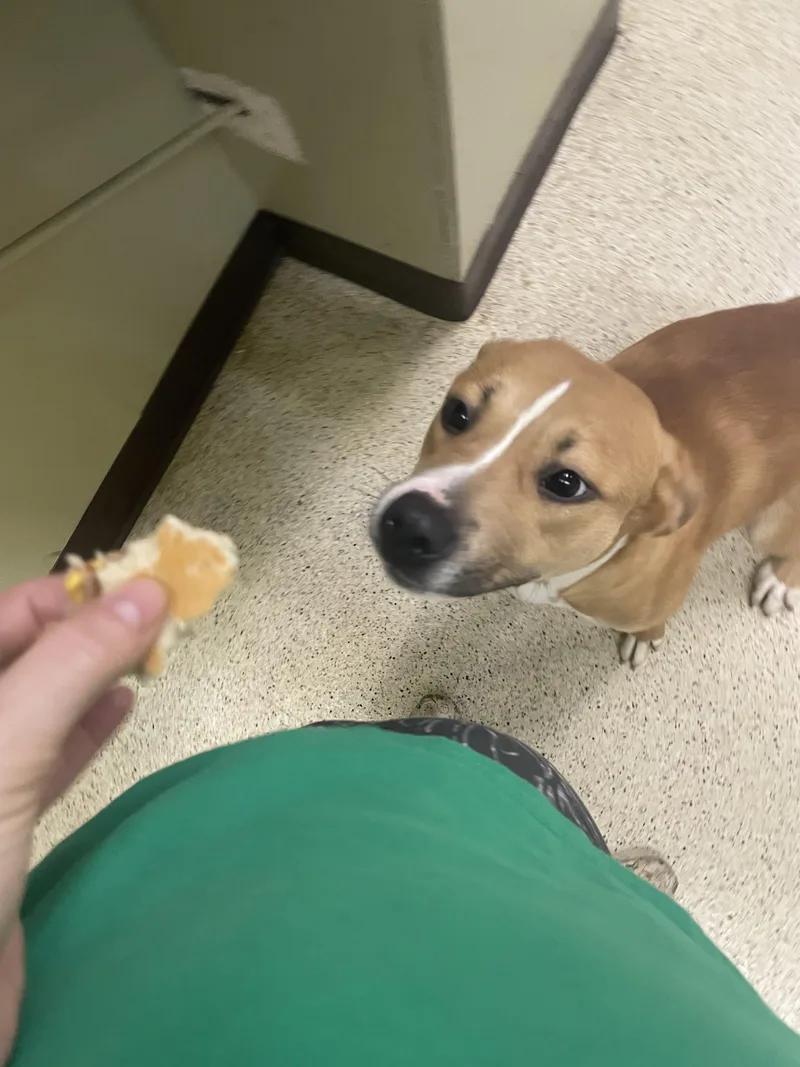 Gretchen thumbnail 4