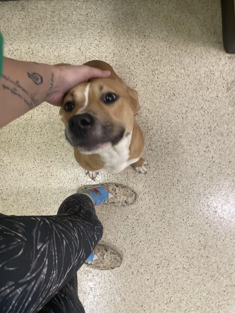 Gretchen thumbnail 5