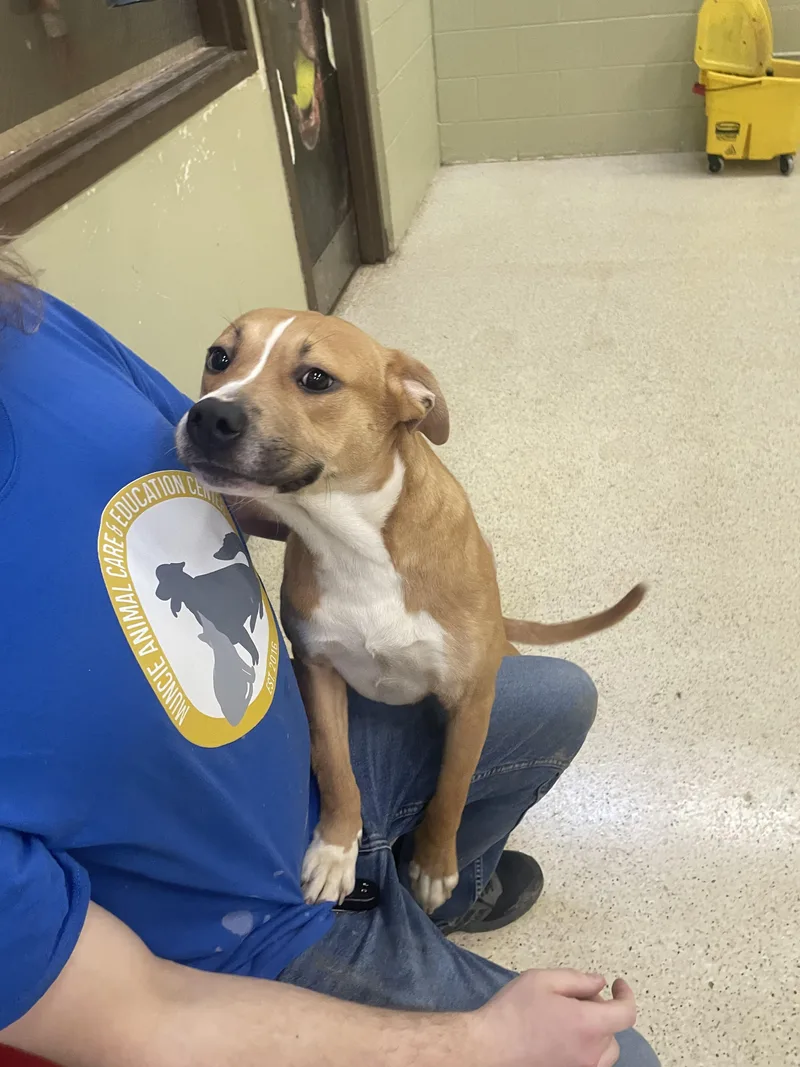 Gretchen thumbnail 6