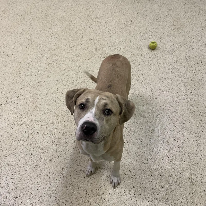 Hercules thumbnail 2