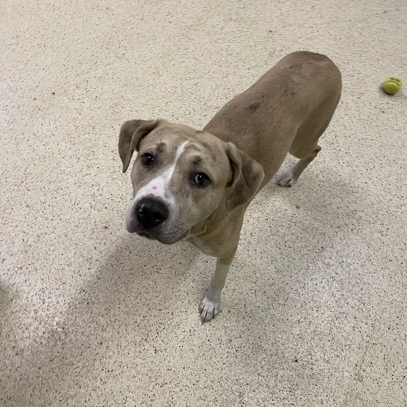 Hercules thumbnail 3