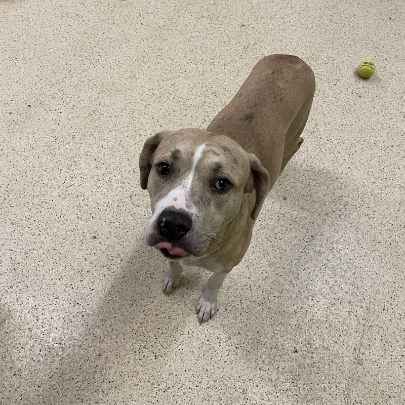 Hercules thumbnail 6