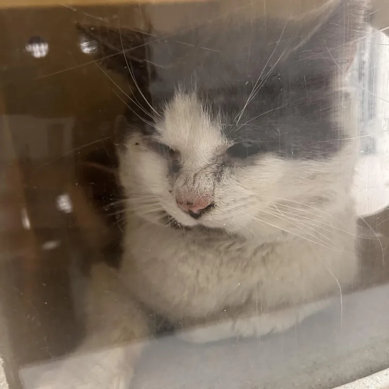 Habanero thumbnail 3