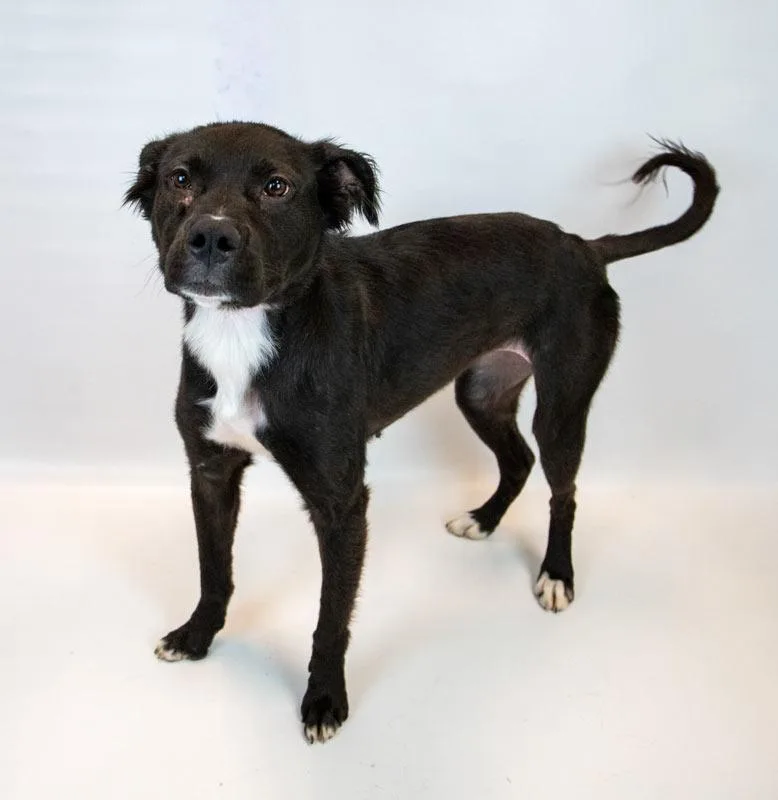 Holly Hobby thumbnail 3