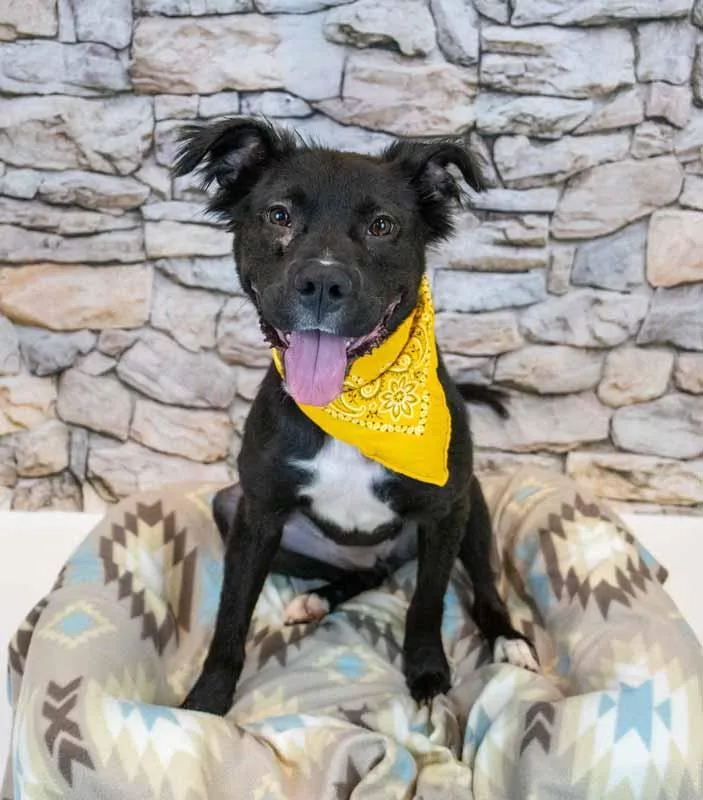 Holly Hobby thumbnail 4