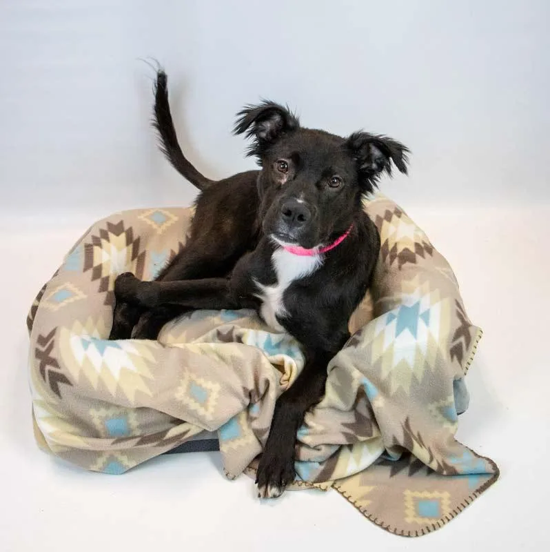 Holly Hobby thumbnail 5