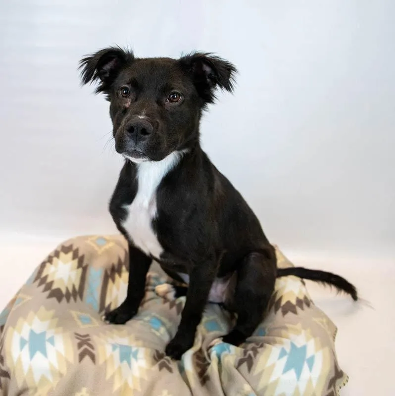 Holly Hobby thumbnail 6