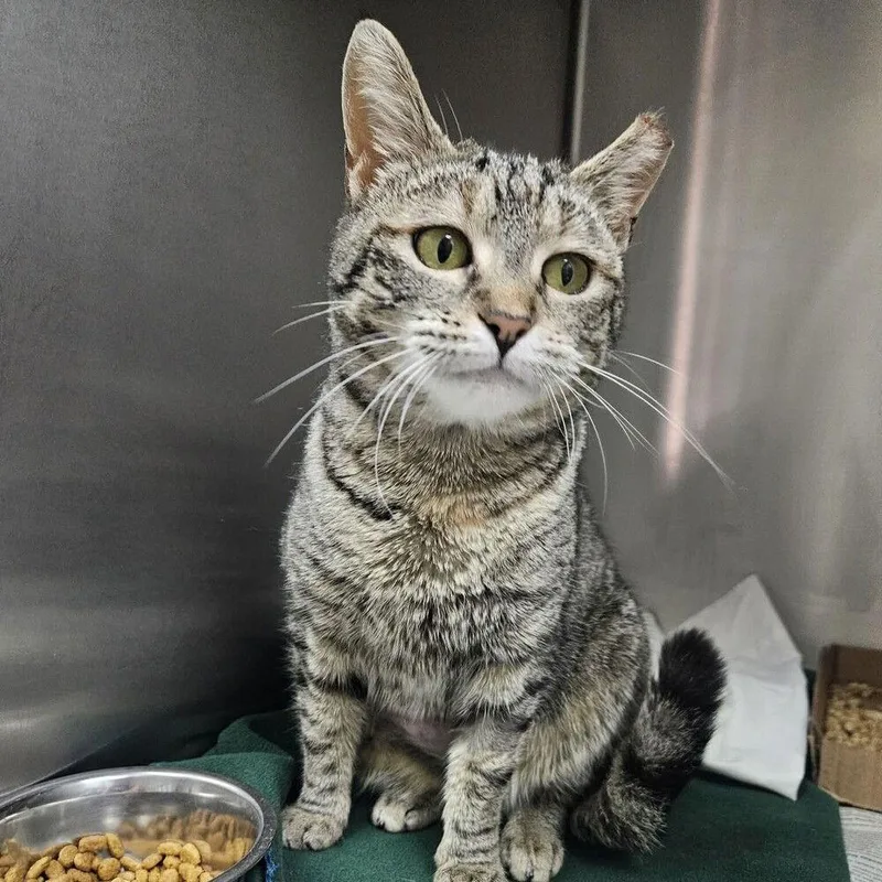 Lorraine thumbnail 2