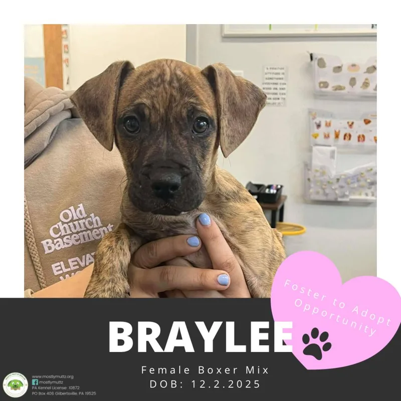 Braylee thumbnail 3