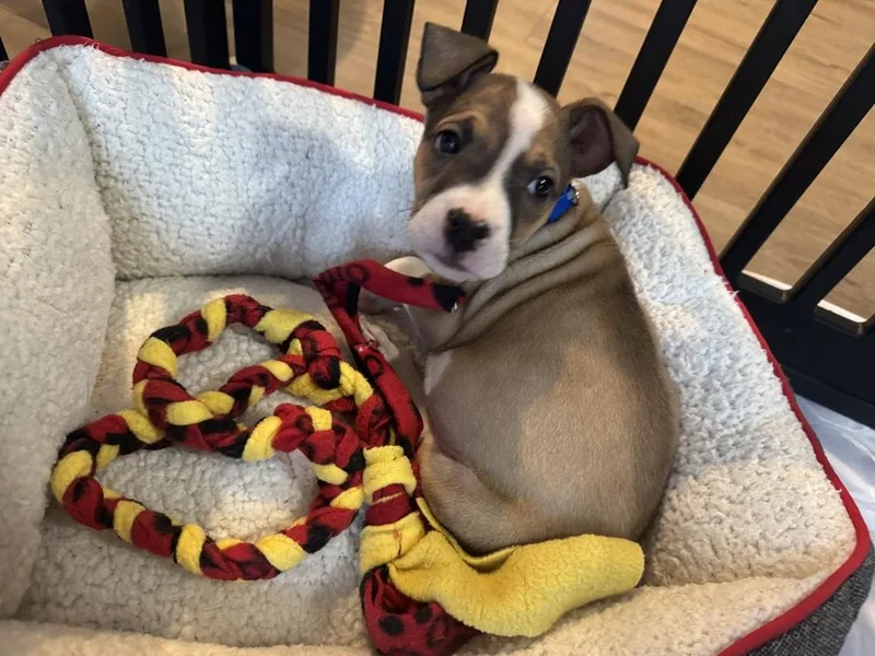 Chambord thumbnail 4