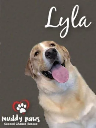 Lyla thumbnail 3