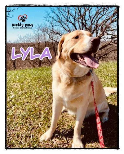 Lyla thumbnail 4
