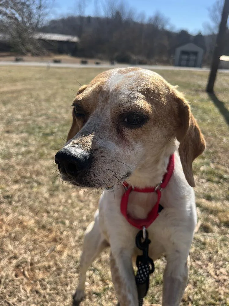 Meredith Grey thumbnail 2