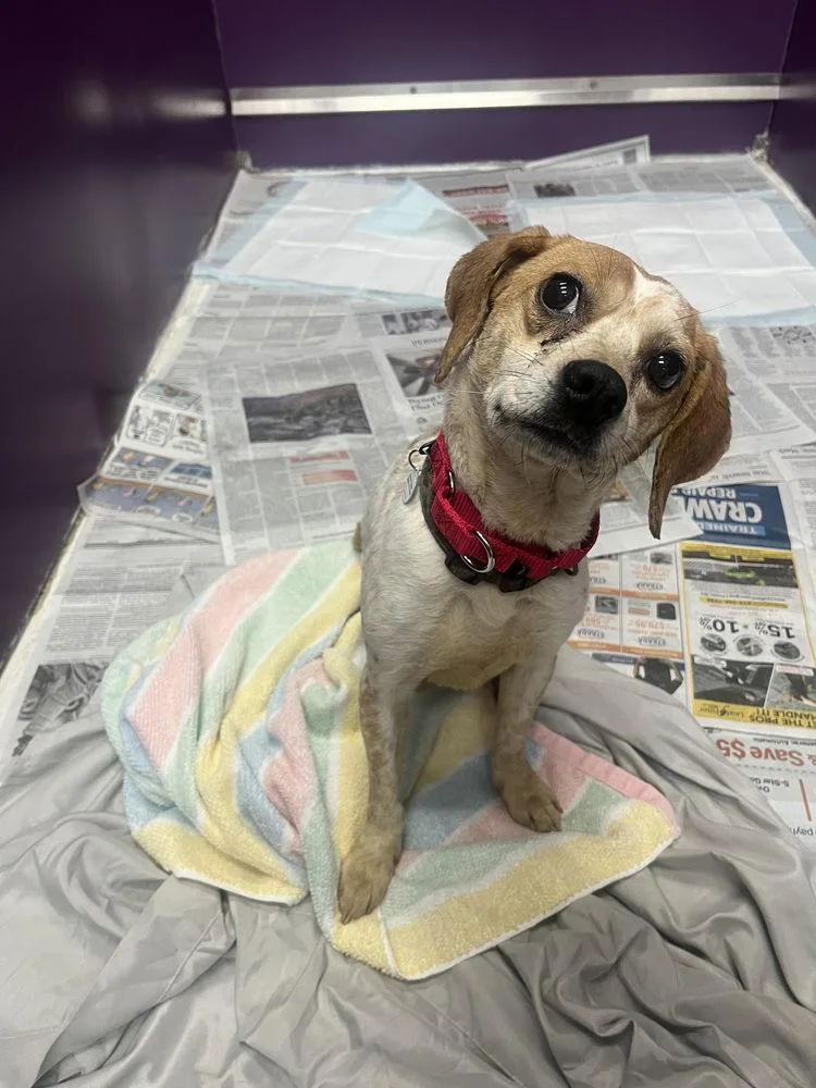 Meredith Grey thumbnail 3