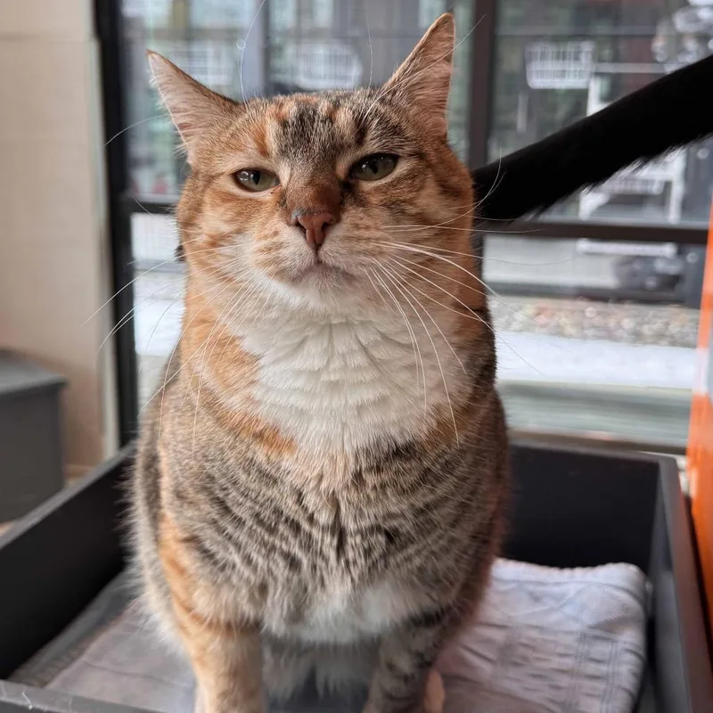 Miss Rich thumbnail 4