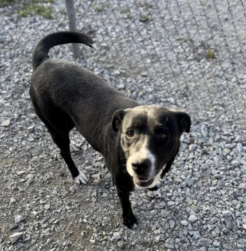 Penelope thumbnail 3