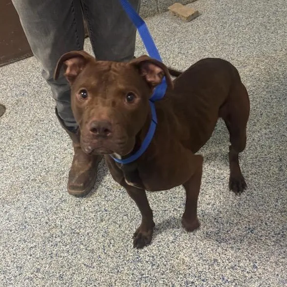 Samantha thumbnail 2