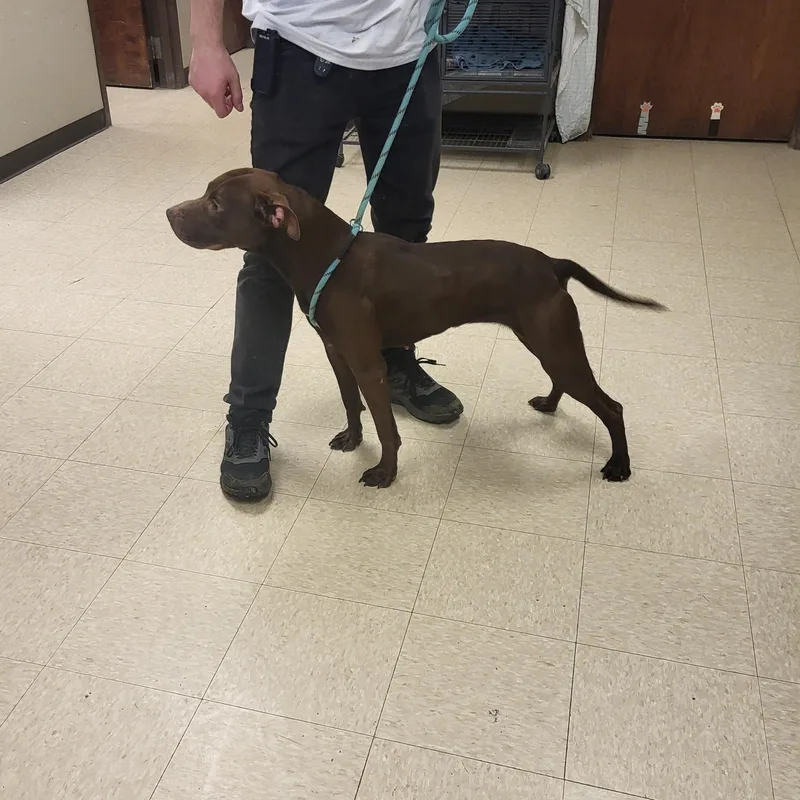 Samantha thumbnail 3