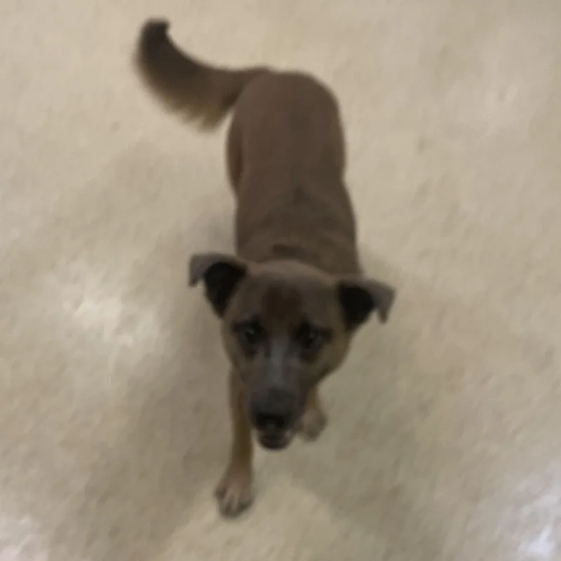 Sarah Jessica Parker thumbnail 2