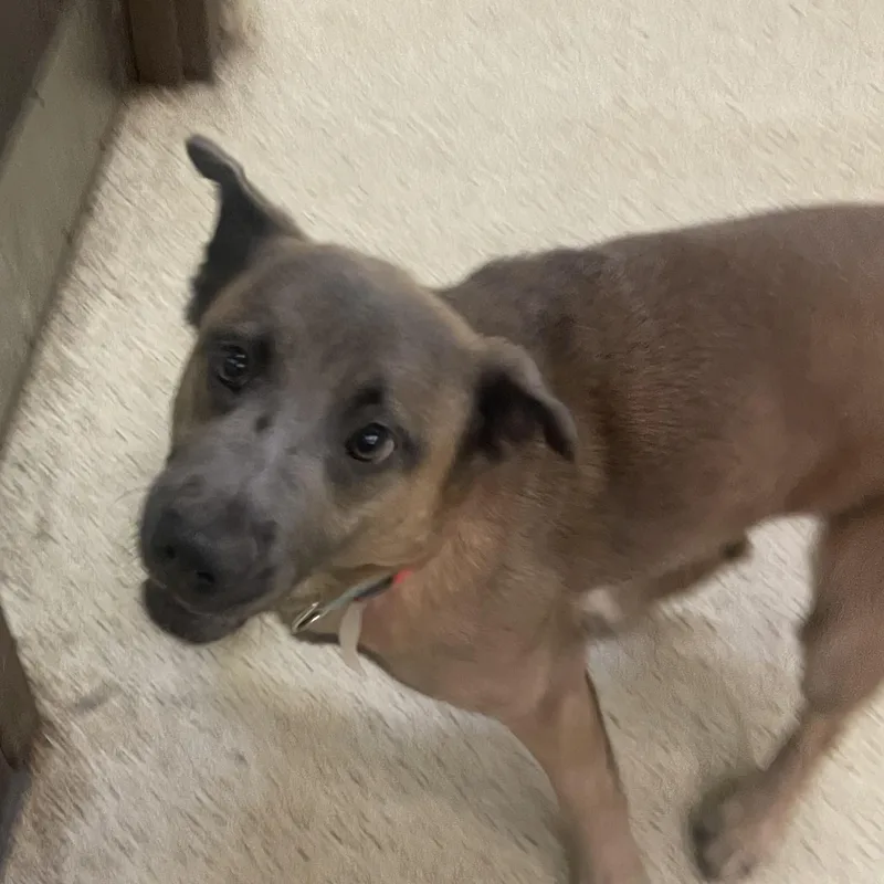 Sarah Jessica Parker thumbnail 4