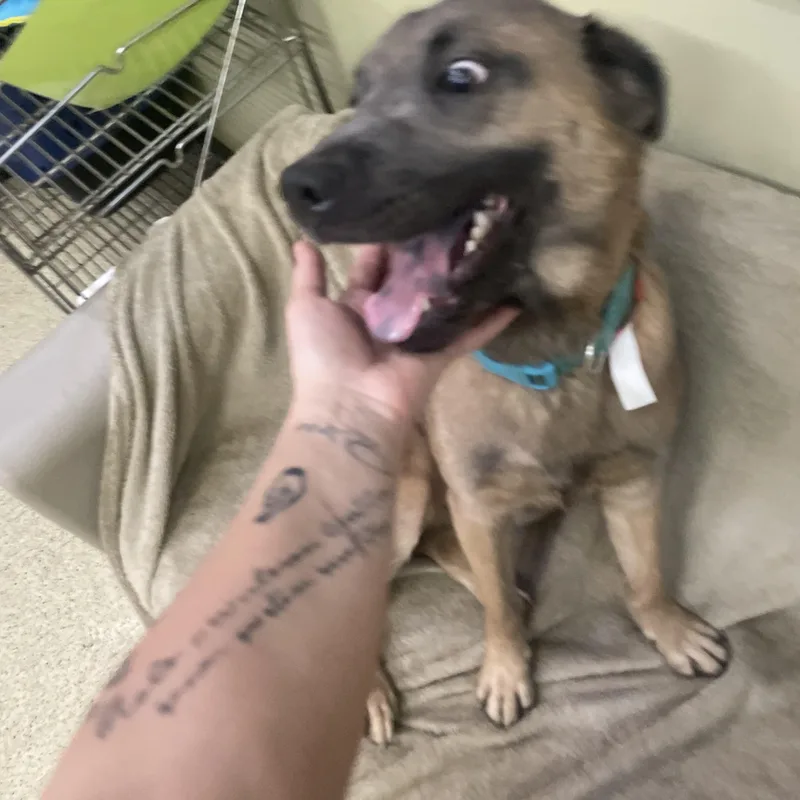 Sarah Jessica Parker thumbnail 5