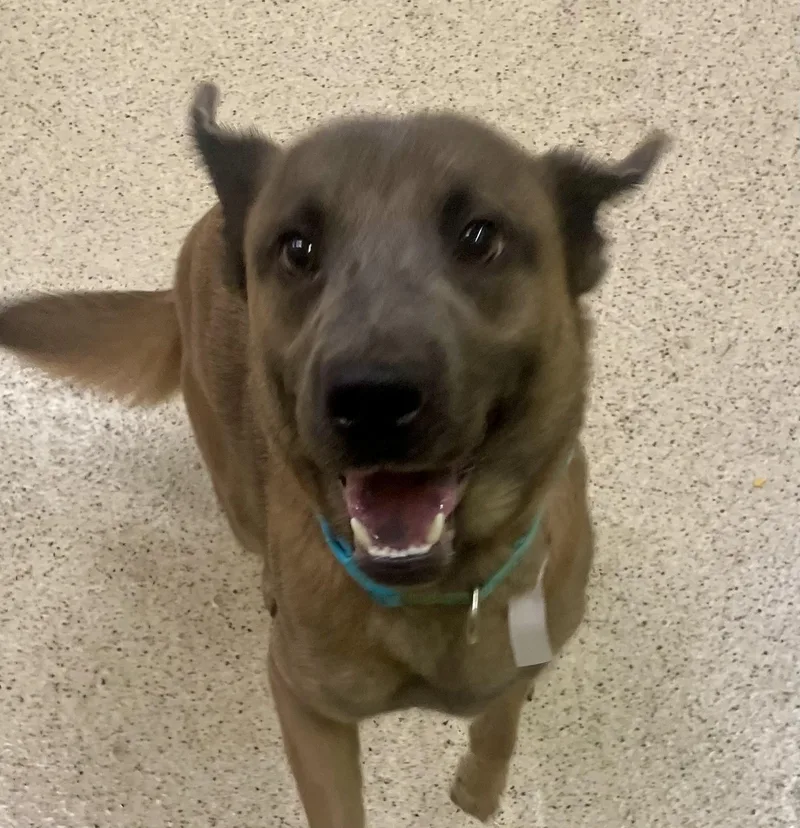 Sarah Jessica Parker thumbnail 6