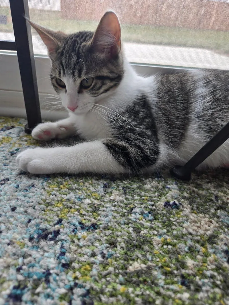 Dr Pepper thumbnail 2