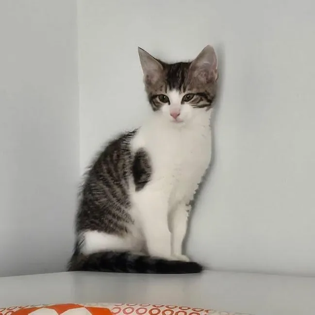 Dr Pepper thumbnail 3